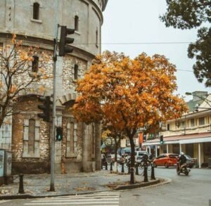 Mùa thu bắt đầu từ tháng mấy? Giải thích rõ ràng và dễ hiểu nhất