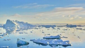 Băng Tan Là Gì? Nguyên Nhân Và Giải Pháp Cấp Bách