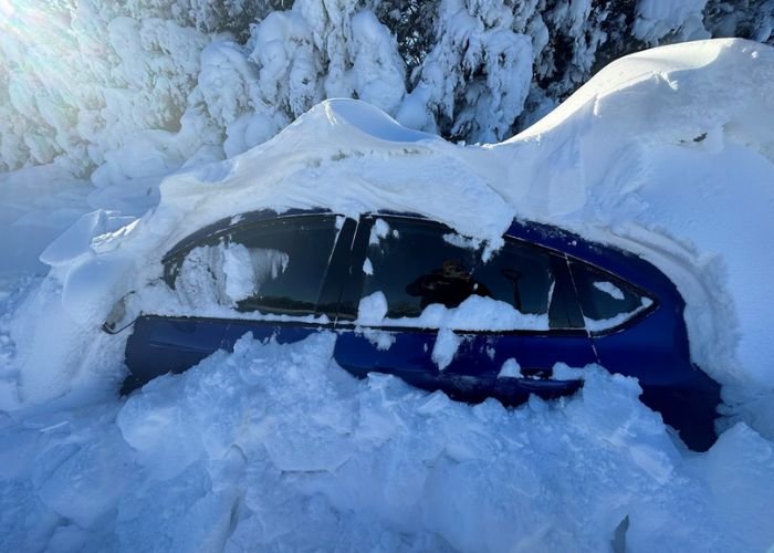 Bão tuyết khiến hoạt động giao thông đường bộ bị gián đoạn hoặc tê liệt