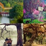 Các Mùa Trong Năm Ở Việt Nam: Điểm Khác Biệt Từ Bắc Vào Nam