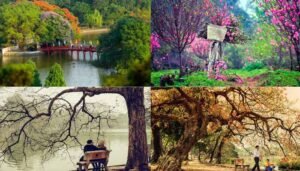 Các Mùa Trong Năm Ở Việt Nam: Điểm Khác Biệt Từ Bắc Vào Nam