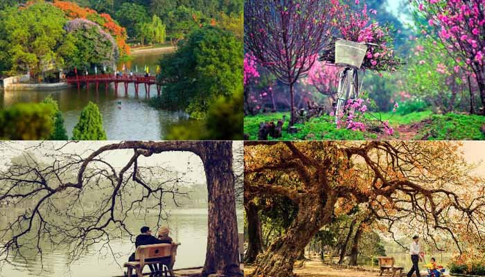 Các mùa trong năm ở Việt Nam có sự thay đổi theo chiều dài đất nước