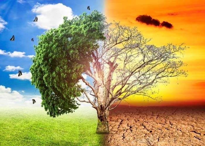 Ở miền Nam, thời tiết được chia thành 2 mùa là mùa mưa và mùa khô