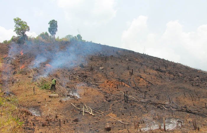 Người dân đốt rừng làm nương rẫy