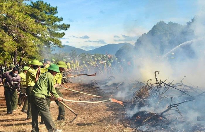 Huy động lực lượng để dập lửa trực tiếp tại đám cháy