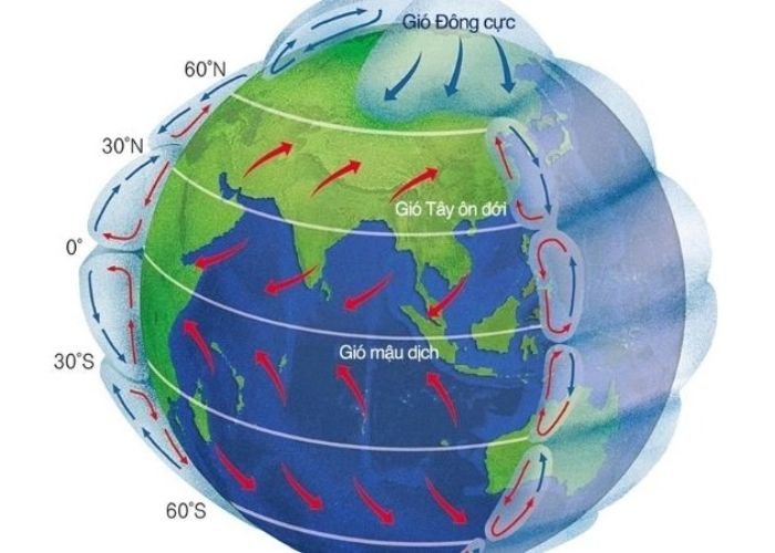 Vai trò của các dòng biển và hoàn lưu khí quyển
