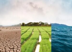 Đặc điểm khí hậu Châu Á – Nguyên nhân dẫn đến sự phân hóa