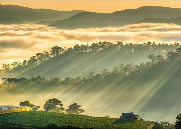 Sự phân hóa tạo nên những nét đặc thù về thời tiết và hệ sinh thái riêng biệt cho mỗi miền