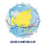 Dải Hội Tụ Nhiệt Đới Là Gì? Việt Nam Có Chịu Ảnh Hưởng Không?