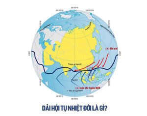 Dải Hội Tụ Nhiệt Đới Là Gì? Việt Nam Có Chịu Ảnh Hưởng Không?