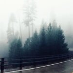 Độ Ẩm Không Khí Là Gì? Độ Ẩm Lý Tưởng Là Bao Nhiêu?