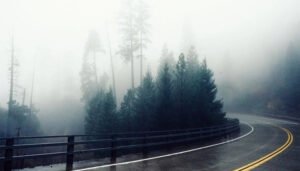 Độ Ẩm Không Khí Là Gì? Độ Ẩm Lý Tưởng Là Bao Nhiêu?