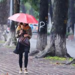 Gió Mùa Là Loại Gió Gì? Các Loại Gió Mùa Và Ảnh Hưởng Của Nó 