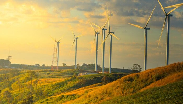 Gió tín phong thổi gần như quanh năm