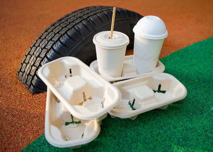 Hộp nhựa, túi nilon và màng bọc thực phẩm giải phóng hàng tỷ hạt vi nhựa khi tiếp xúc với nhiệt độ cao