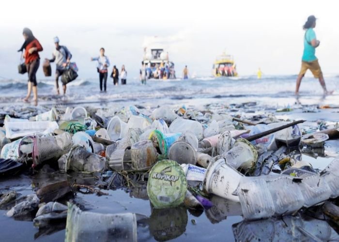 Mỗi năm có khoảng 8 triệu tấn nhựa trôi ra các đại dương và dần phân hủy thành hạt vi nhựa