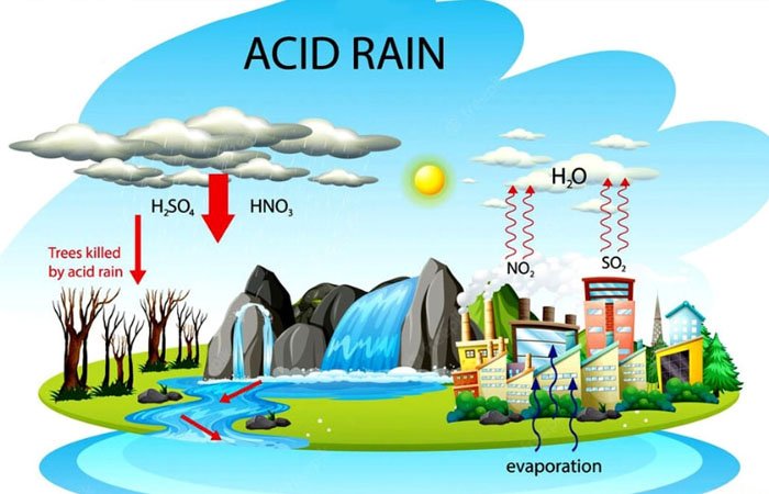 Hình ảnh quá trình hình thành mưa axit