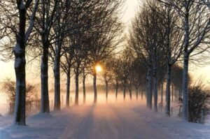 Mùa Đông Bắt Đầu Từ Tháng Mấy, Kết Thúc Lúc Nào Ở Việt Nam?