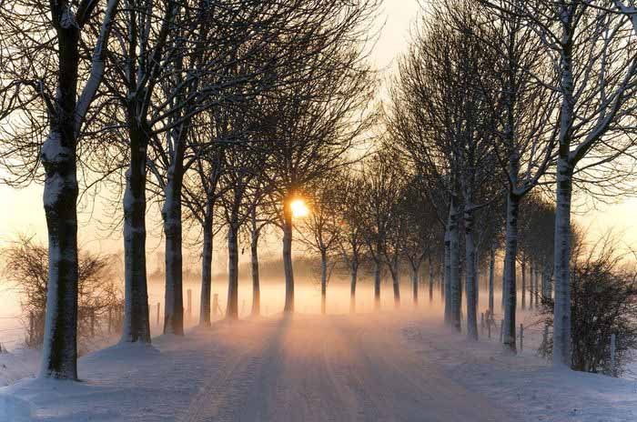 Mùa đông ở các khu vực trên thế giới bắt đầu không giống nhau