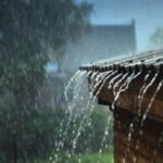 Mùa Mưa Bắt Đầu Từ Tháng Mấy Ở Từng Miền Của Việt Nam?