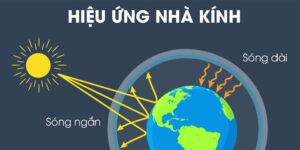 Nguyên Nhân Gây Hiệu Ứng Nhà Kính Và Cách Khắc Phục