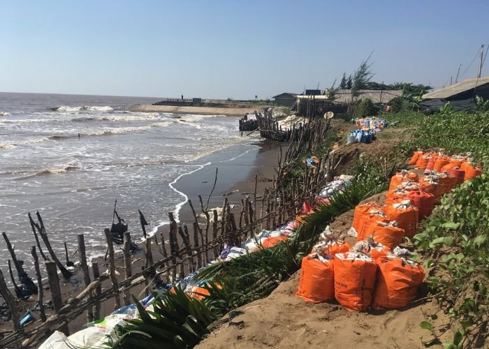 Khi mực nước biển dâng cao, nước mặn có xu hướng thấm sâu vào đất liền