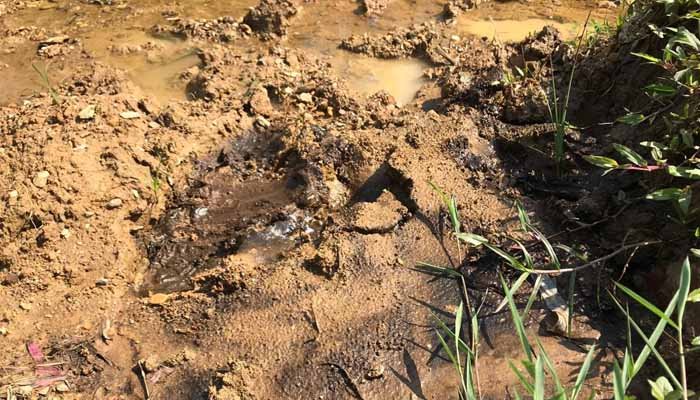 Ô nhiễm môi trường đất là tình trạng đất bị thay đổi tính chất theo chiều hướng xấu