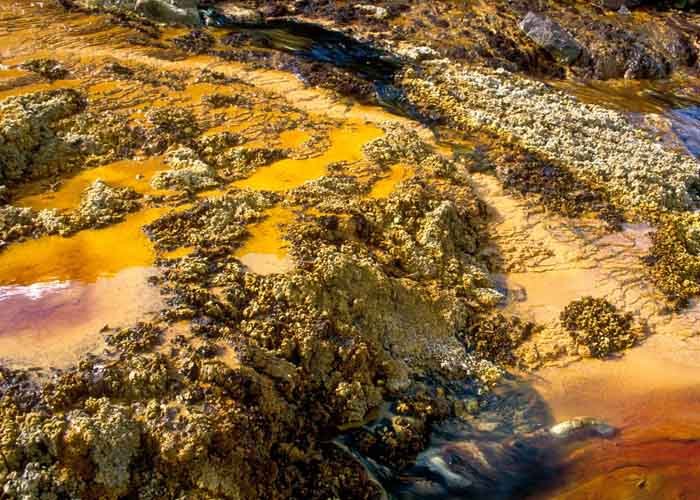 Tình trạng ô nhiễm đất ở Việt Nam đang ngày càng trở nên nghiêm trọng