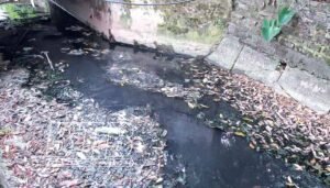 Ô Nhiễm Môi Trường Nước Là Gì? Nguyên Nhân, Cách Khắc Phục