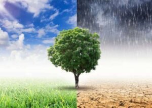 Hướng dẫn phân biệt thời tiết và khí hậu theo từng tiêu chí