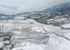 Rét đậm rét hại là gì? Tác động và biện pháp phòng tránh