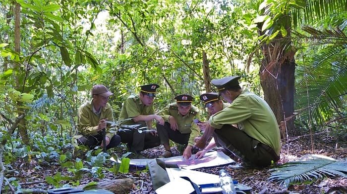 Ứng dụng công nghệ hiện đại giúp việc giám sát và bảo vệ rừng trở nên chính xác và kịp thời hơn