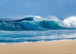 Sóng Biển Là Gì? Yếu Tố Hình Thành Và Các Loại Sóng Biển