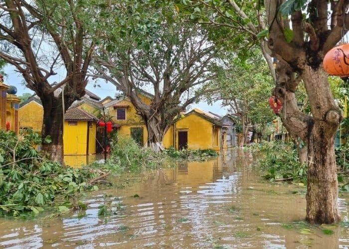 Nước lũ tàn phá hoa màu, cây trồng và làm giảm năng suất đất canh tác