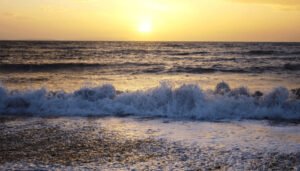 Thủy Triều Là Gì? Tại Sao Phải Quan Sát Thủy Triều?