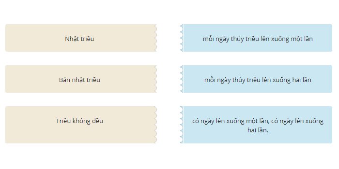 Thuỷ triều được chia thành 3 loại