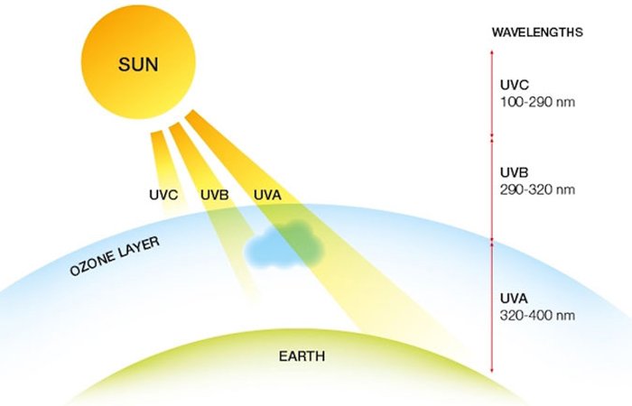 Tia UV được chia thành 3 loại chính