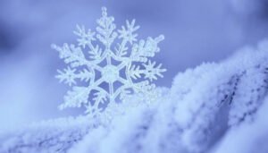 Tuyết Là Gì? Tuyết Được Hình Thành Như Thế Nào?