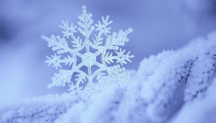 Tuyết thường có màu trắng, kích thước nhỏ, hình dạng có tính đối xứng lục giác