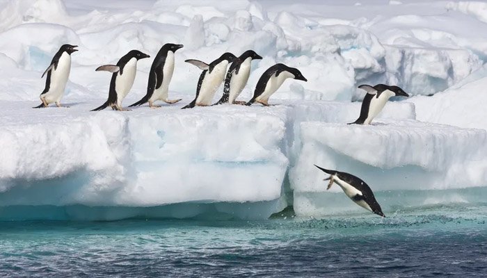 Khối băng tuyết dày ở Nam Cực