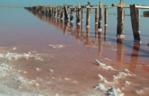 Xâm Nhập Mặn Là Gì? Nguyên Nhân, Hậu Quả, Cách Khắc Phục