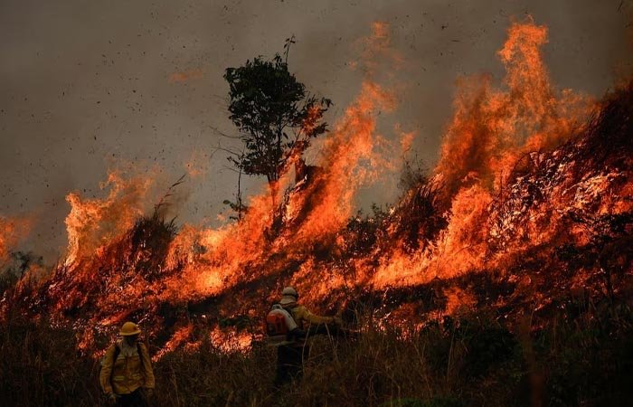 Hạn hán làm tăng nguy cơ cháy rừng
