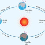 Đông Chí Là Gì? Nguồn Gốc, Ý Nghĩa Và Những Điều Kiêng Kỵ