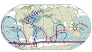 Dòng hải lưu là gì? Nguyên nhân hình thành và vai trò của dòng hải lưu