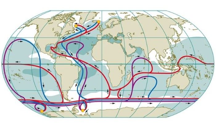 Dòng hải lưu hay còn được gọi là dòng biển
