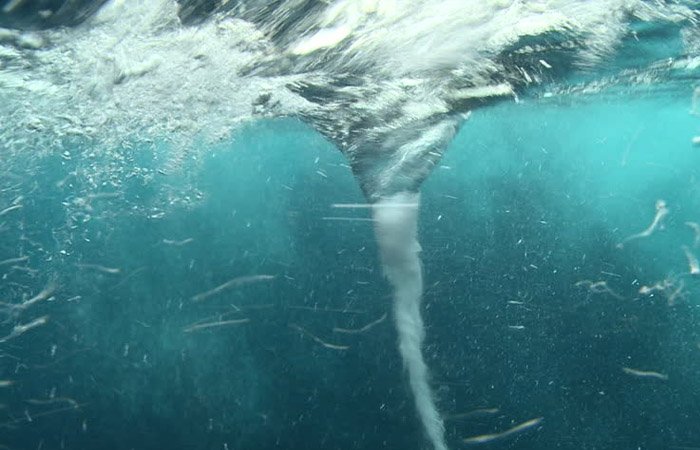 Các dòng hải lưu gặp nhau có thể tạo thành các xoáy nước