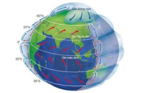 Gió Tây Ôn Đới Là Gì? Tính Chất Và Những Ảnh Hưởng Cụ Thể