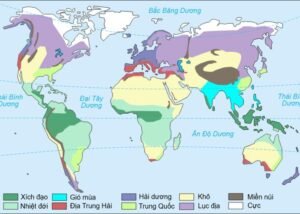 Khí hậu nhiệt đới là gì? Đặc điểm và các loại hình phổ biến