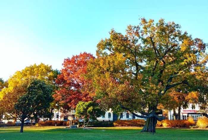 Khí hậu ôn đới là gì