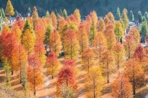 Khí hậu ôn đới là gì? Đặc điểm, phân bố và ví dụ